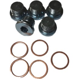 Tapón reparador roscas CARTER | MundoTaller