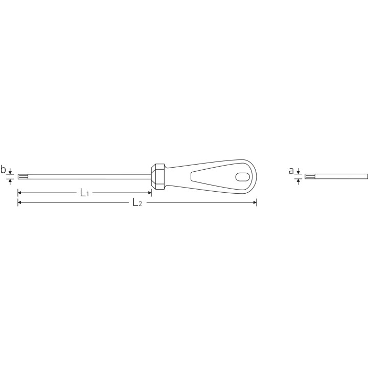 Destornilladores TORX® Tamper Resistant 3K DRALL®