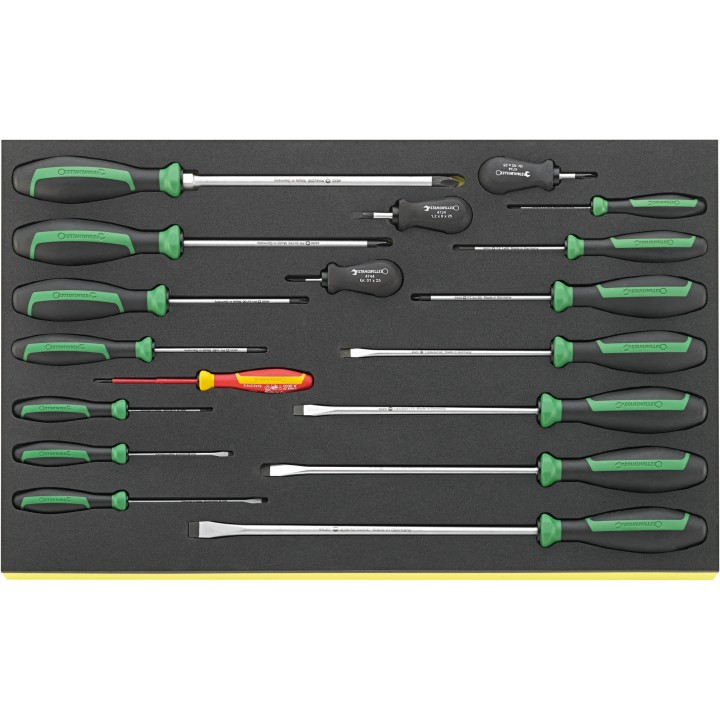Juego de 18 destornilladores DRALL+ en bandeja TCS