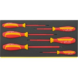 Juego de 6 destornilladores DRALL+ en bandeja TCS