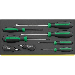 Juego de 8 destornilladores DRALL+ en bandeja TCS