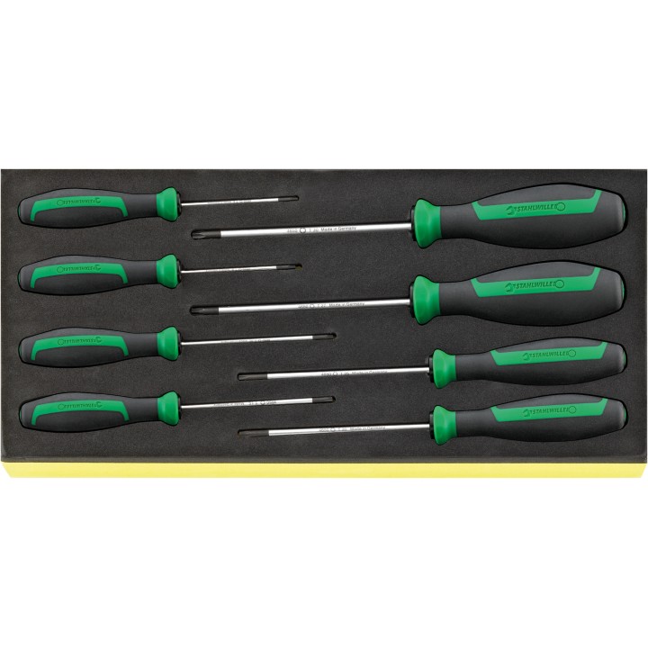 Juego de 8 destornilladores DRALL+ en bandeja TCS