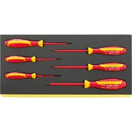 Juego de destornilladores DRALL+ 6 pzas. en bandeja TCS